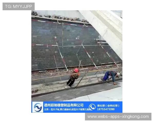 高密度聚乙烯冰球场围栏确保运动员安全，提升比赛体验