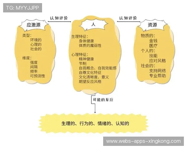 心理抗压：冠军队伍的输赢背后有哪些共同习惯？