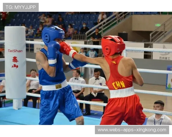 一拳决胜：拳击赛上的瞬间奇迹与心跳胜负