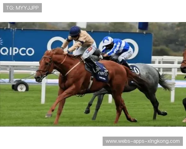 罗斯托夫阿布利亚科夫力量速度兼备