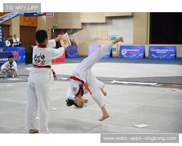 格斗赛事闪电旋踢命中心口结束比赛：极致对决背后的训练与热潮